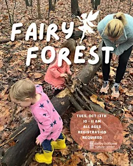 Fairy Forest