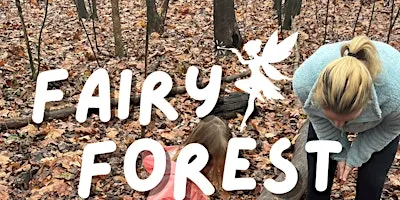 Fairy Forest