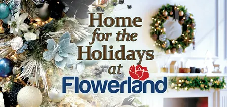 Home for the Holidays Christmas Open House - Comstock Park Flowerland