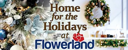 Home for the Holidays Christmas Open House - Comstock Park Flowerland