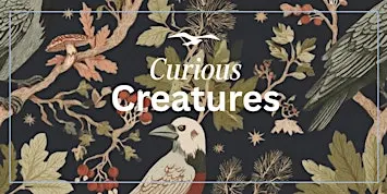 Curious Creatures