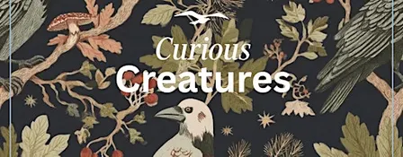 Curious Creatures