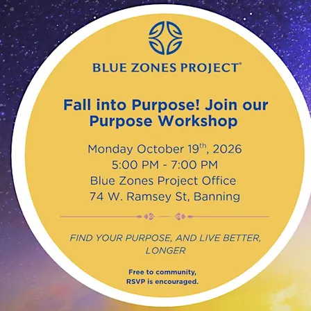 Fall into Purpose! Purpose Workshop - BZP Banning
