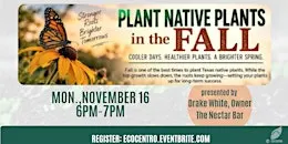 Plan and Plant Native Plants in the Fall