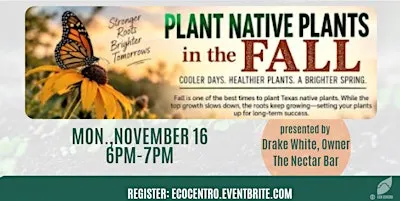 Plan and Plant Native Plants in the Fall