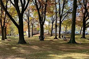 Memorial Grove Volunteer Clean Up Event