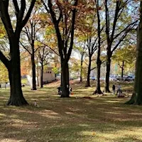Memorial Grove Volunteer Clean Up Event