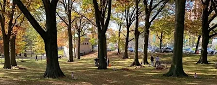 Memorial Grove Volunteer Clean Up Event