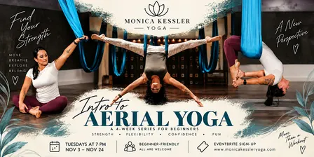 Intro to Aerial Yoga 4 Week Series