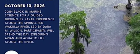 Birding by Kayak: Exploring the Wakulla River
