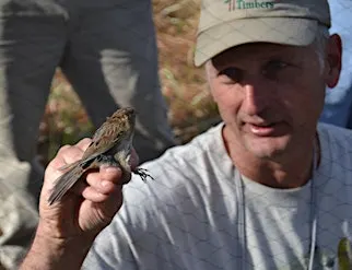 Rare Forest Gems with Naturalist Jim Cox