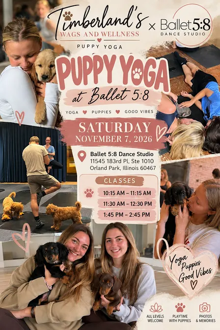Puppy Yoga: Timberlands Wags and Wellness