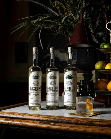 Small-Batch Mezcal Tasting Event with Bixhidú