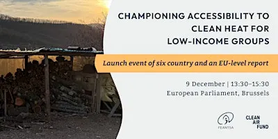 Championing Accessibility to Clean Heat for Low-Income Solid Fuel Users