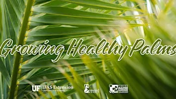 Growing Healthy Palms