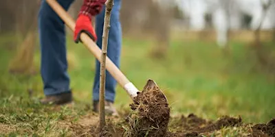 Tree planting at Gorrell Valley Nature Reserve
