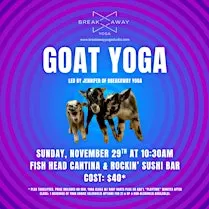 Goat Yoga at Fish Head Cantina & Rockin' Sushi Bar