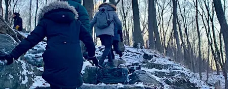 Winter Forest Bathing with Moire