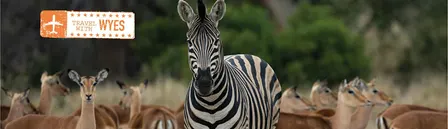 Iconic South Africa with WYES