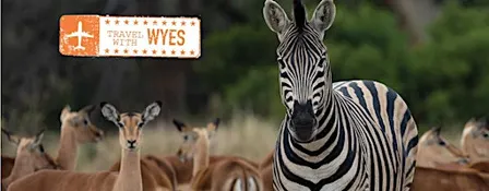 Iconic South Africa with WYES