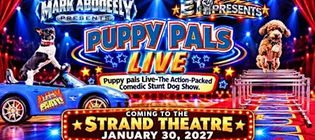 Puppy Pals Live - The Action-Packed Comedic Stunt Dog Show as seen on AGT