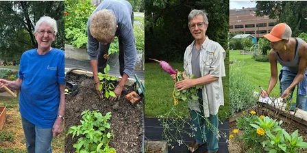 Introduction to Forsyth Community Gardens