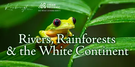 Rivers, Rainforests & the White Continent with Swan Hellenic