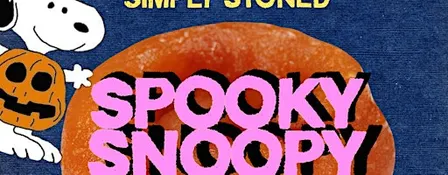 DIY Spooky Snoopy Totes - Oct 18th Simply Stoned