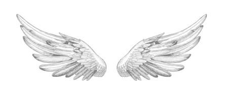 ANGELS AND ORACLES