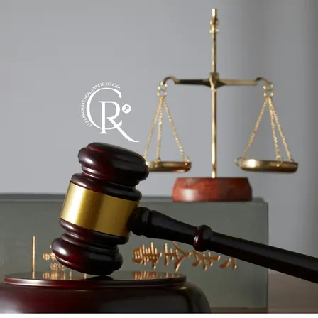 Georgia License Law