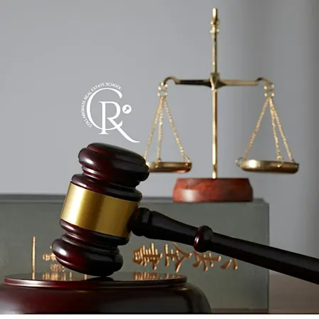 Georgia License Law