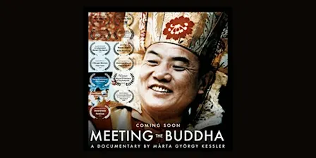 Meeting the Buddha - Movie Screening at UW Madison