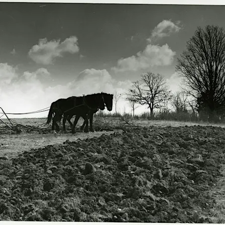 The Ozarks, Still Becoming: History and Music at the Honors College House C