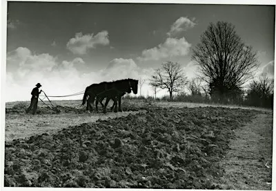 The Ozarks, Still Becoming: History and Music at the Honors College House C