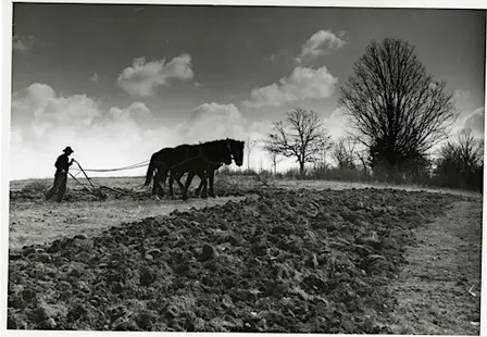 The Ozarks, Still Becoming: History and Music at the Honors College House C