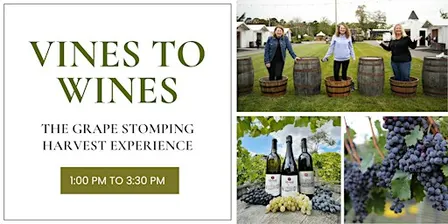 Vines to Wines: The Renault Harvest Experience