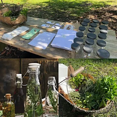 Herbal Infused Vinegar Demo