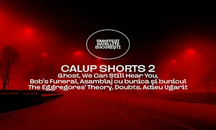 Shorts RMHFFest / Session 2 (1h 23m)