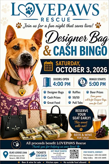 Lovepaws Animal Rescue Designer Bag and Cash Bingo