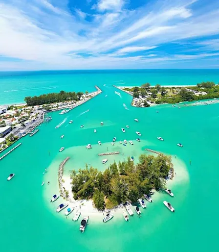 MarineMax Venice Island Dog Days