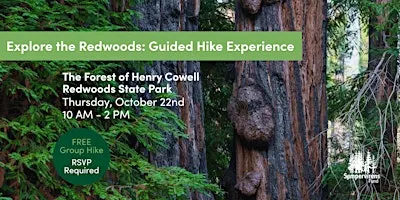 Guided Hike at Henry Cowell Redwoods State Park