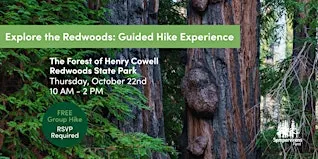 Guided Hike at Henry Cowell Redwoods State Park