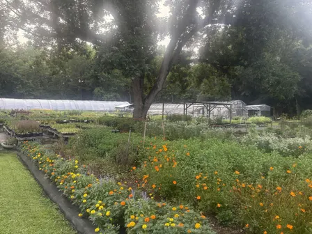 FREE Walk & Talk with Farm Manager, Alex