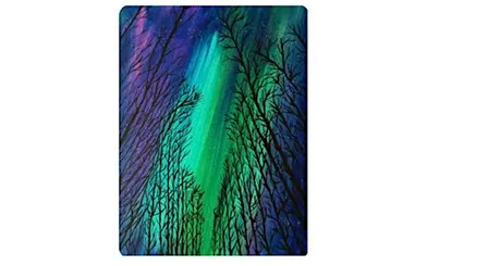 Calgary’s Paint & Sip Experience at Raw Canvas: $45 Wednesday 1/2price rose