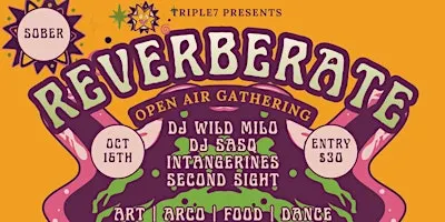 REVERBERATE | A Sober Open Air Gathering