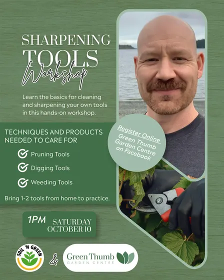 Sharpening Tools Workshop