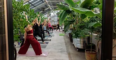 Yoga in the Greenhouse