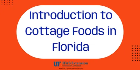 Introduction to Cottage Foods in Florida