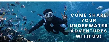 Divers Meet Up