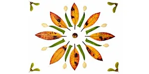 Fall Mandalas and Community Altar: an Afternoon of Creativity and Intention